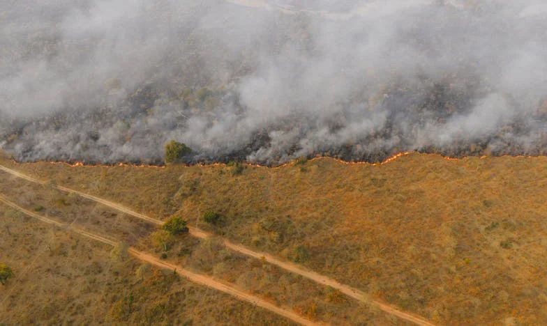 Między obowiązkiem a własnym szczęściem: Wyznania starszej siostry z polskiej rodziny