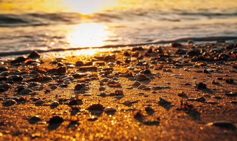 Moja teściowa zamieniła katastrofę w piękne wspomnienie: Opowieść synowej z polskiej rodziny