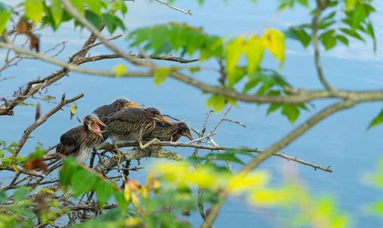 Nie zaproszona na ślub własnego syna: Gorzki smak matczynej miłości