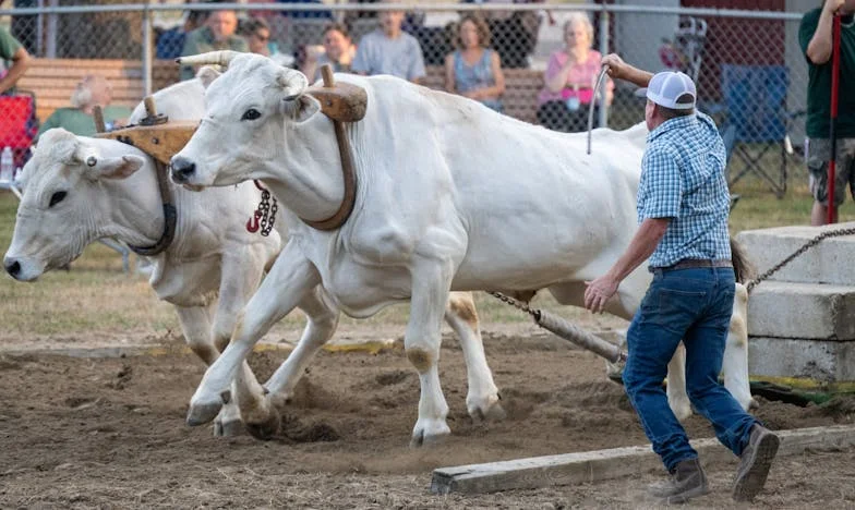 Niespodziewany gość w mieszkaniu – historia, która zmieniła moje życie
