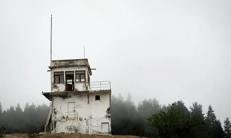 Ona zostawiła syna dla kariery, a ja stałam się jego matką – prawdziwa historia o miłości, zdradzie i sile kobiet