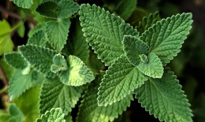 Ostatni dzień w domu, który już nie jest mój