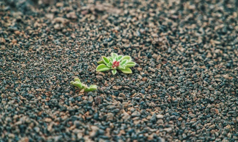 Podsłuchany sekret, który rozbił moje małżeństwo – historia Moniki