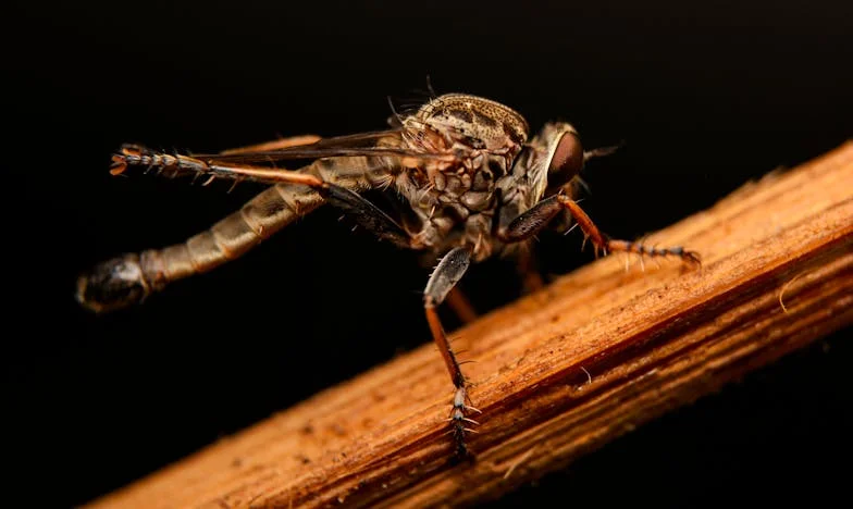 Rozwód to Było Za Mało: Jak Były Mąż i Teściowa Próbowali Odebrać Mi Syna i Szczęście