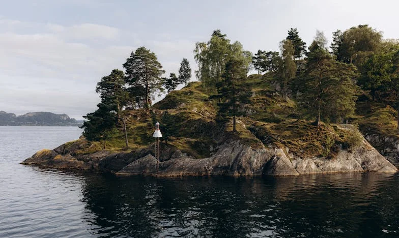 Syn zbudował swoją rodzinę, a dla mnie zabrakło w niej miejsca – historia Zofii z Torunia