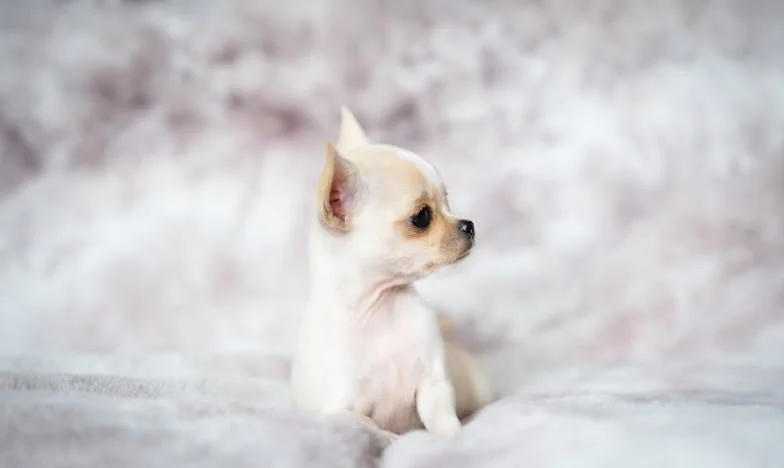 Testament na urodzinach: Jak jeden dzień zrujnował moje zaufanie do rodziny