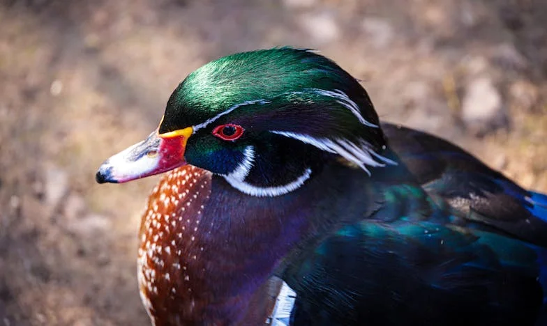 Tükör relacji: Jak traktujesz mnie, tak ja ciebie – Wyznanie polskiej teściowej