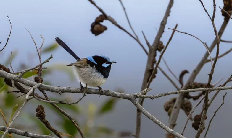 Zamknięte Drzwi, Otwarte Rany: Historia Marty z Nowej Huty