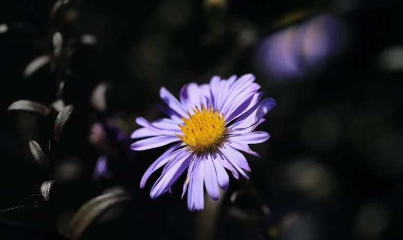 Biała sukienka i ciemne sekrety: Historia Kasi