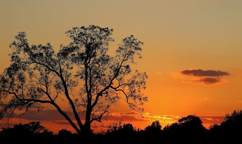 Całe życie dla ojca, a on… Testament, który odebrał mi dom i wiarę w sprawiedliwość