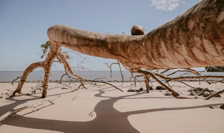 Cienie przeszłości i nowa droga: Historia Agnieszki z Józefowa