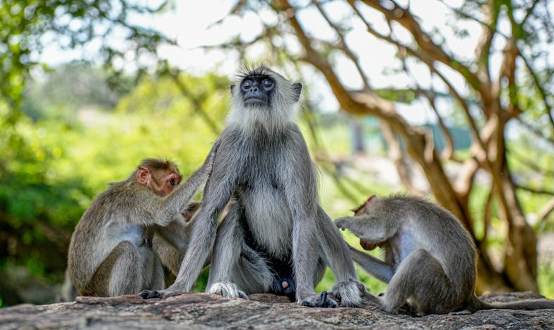 Cisza między nami: Opowieść matki z Mazur, która musiała wybrać między lojalnością a prawdą