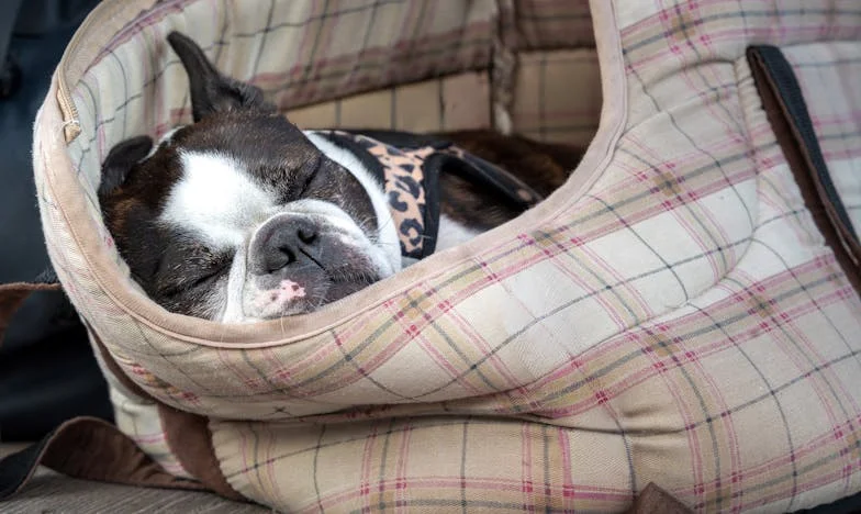 "Czy chcesz, żebym PODAROWAŁA twojemu tatusiowi samochód?!" – Moja walka o niezależność w polskiej rodzinie