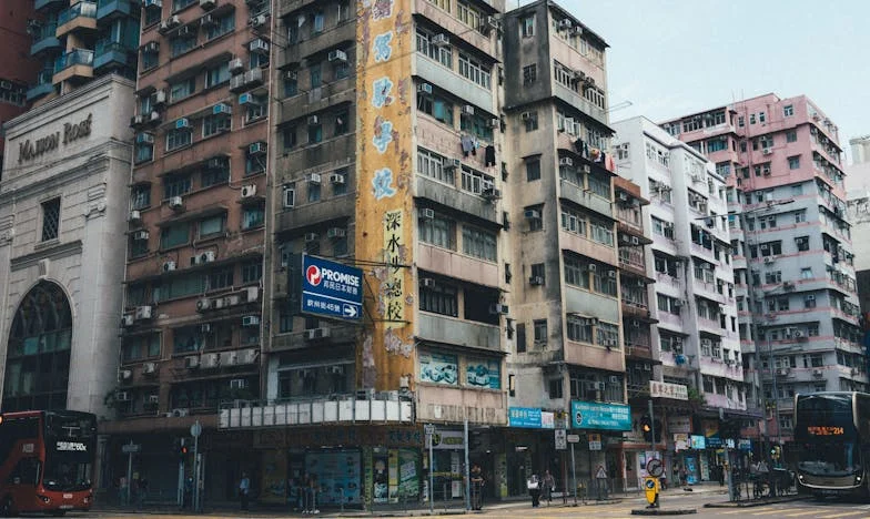 Dłoń: Historia o niechcianym rodzeństwie i rodzinnych bliznach