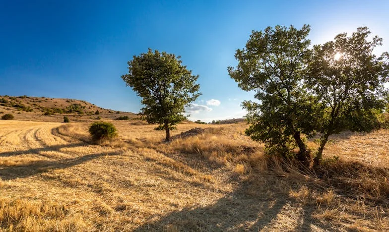 Jak postawiłam granice mojej teściowej – i co się stało, gdy odpowiedziała ciosem za cios