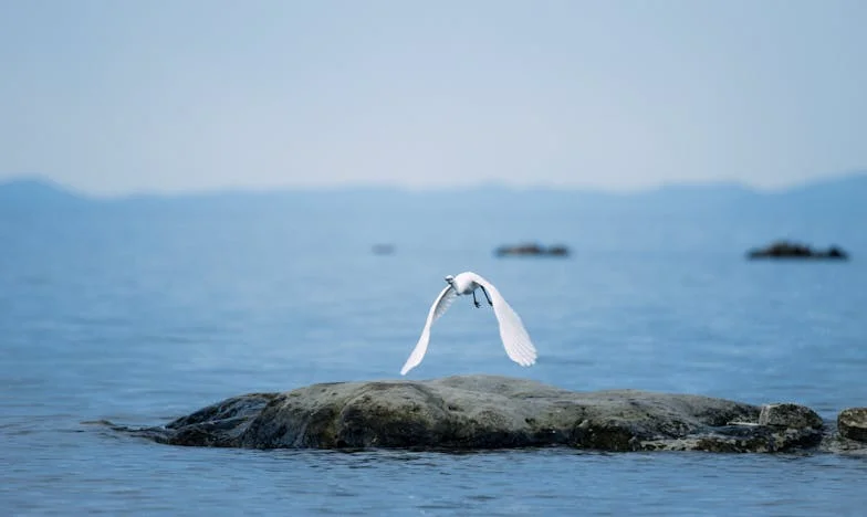 Kiedy klasa staje się polem bitwy: Moja walka o głos, zdrowie i rodzinę