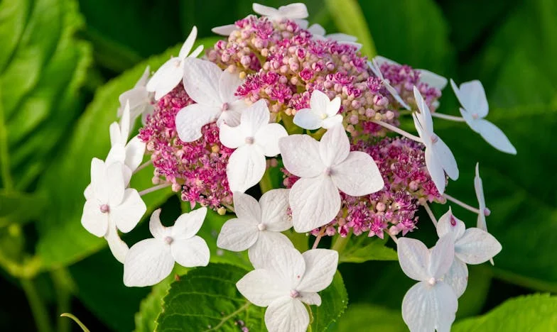 Kiedy pomoc teściowej stała się ciężarem – Moja walka o niezależność i rodzinny spokój