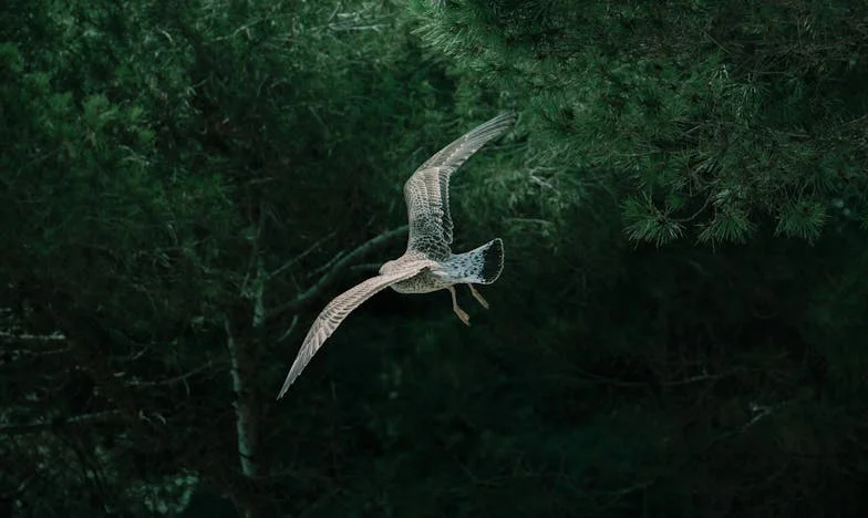 Między dzieciństwem a odpowiedzialnością: Historia młodej matki z Łodzi, która musiała dorosnąć za wcześnie