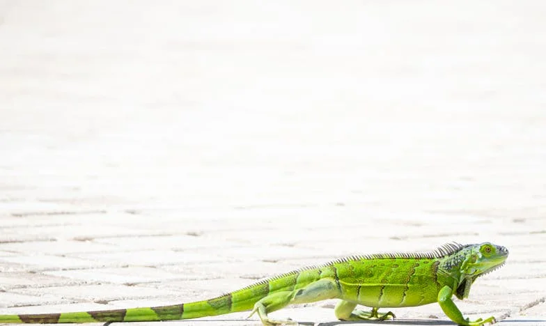 Miłość czy lojalność? Gdy mąż zrywa kontakt z moją rodziną – historia Joanny