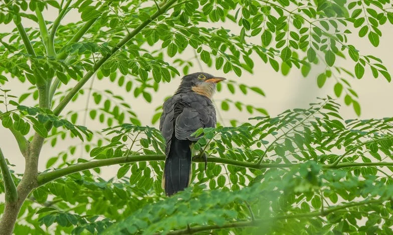 Mój chłopak przynosi gotowe dania do mojego mieszkania – czy to wstyd prosić go o pomoc?