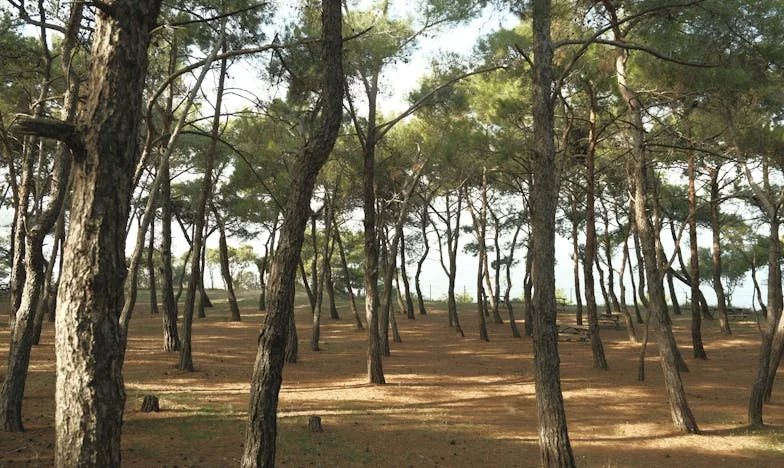 Moja teściowa nie wejdzie już do mojego domu. Historia o granicach, które musiałam postawić