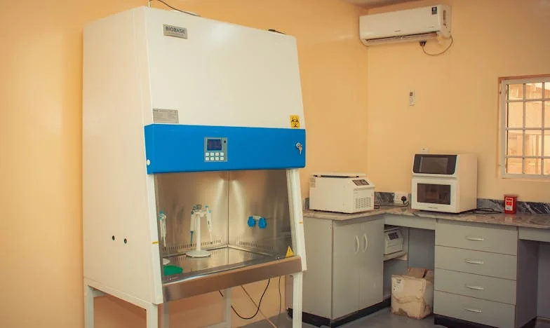 Moja teściowa zabrała mi obiad i pochwaliła się nim na Instagramie: Opowieść o granicach i rodzinie