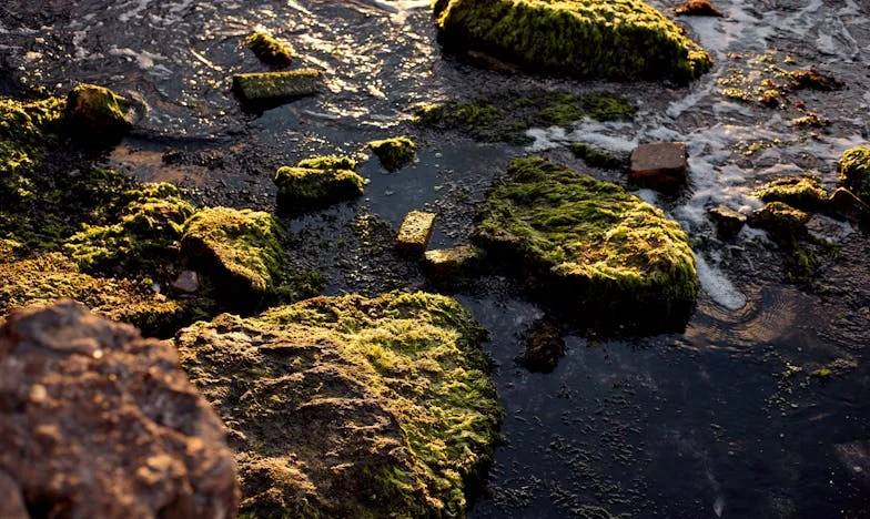 Na mój urodzinowy wieczór zadzwonił telefon: Prawda, której nie chciałam usłyszeć