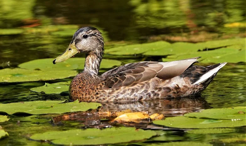 „Nie chcę, żebyś mnie więcej odwiedzała” – Historia polskiej rodziny na granicy miłości i manipulacji