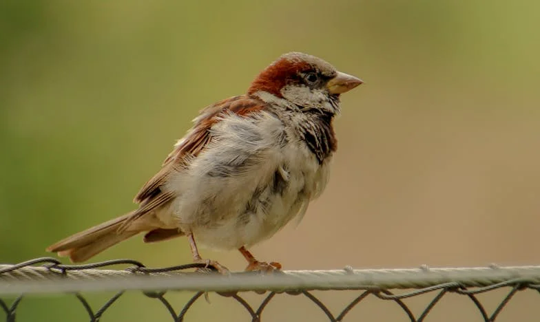 „Nie jestem twoją służącą!” – Historia o granicach, które musiałam postawić własnej rodzinie