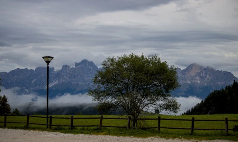 Nie zgadzaliśmy się na takie warunki! – Jak teściowa zamieniła nasze weekendy w koszmar