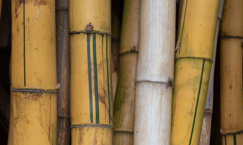 Niefortunne Zabiegi: Historia Klęski i Przebaczenia – Moja Noc, Która Zmieniła Wszystko