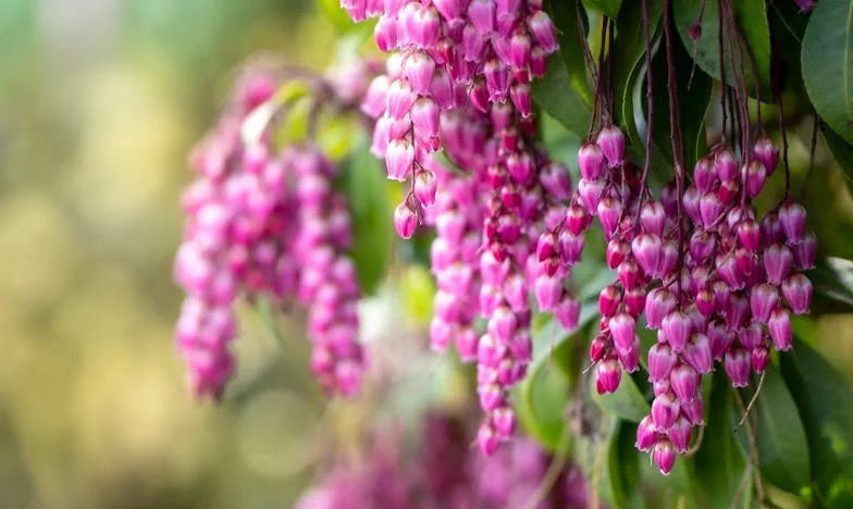 Nieistniejąca rodzina: Historia, która boli do dziś