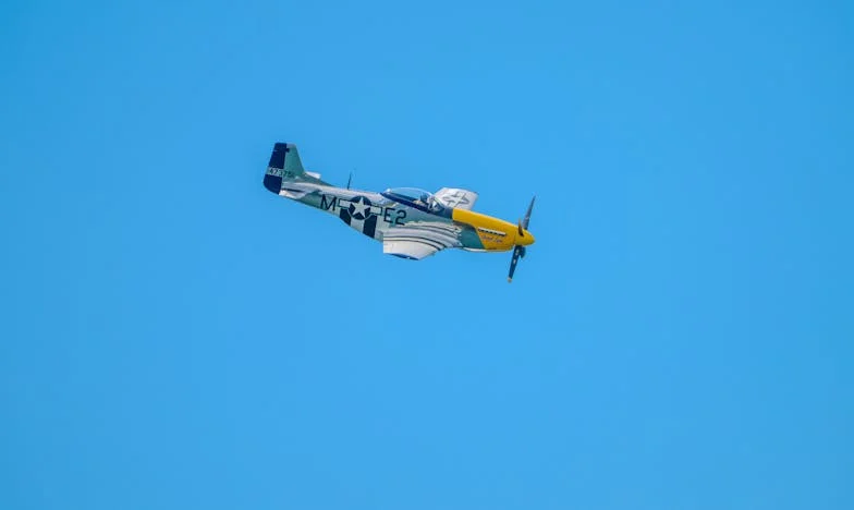 Nieoczekiwany gość z krawędzi lasu – historia o rodzinnych sekretach i odwadze