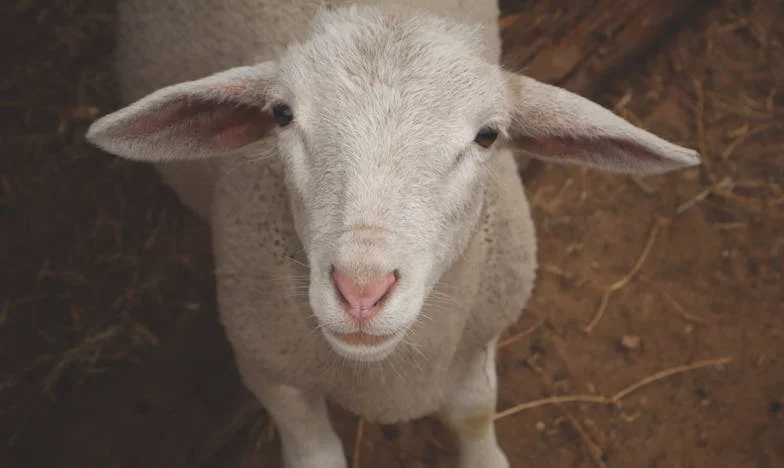 Nigdy Nie Spodziewałam Się Tego od Moich Rodziców: Noc, Kiedy Zamknęli Przede Mną Drzwi