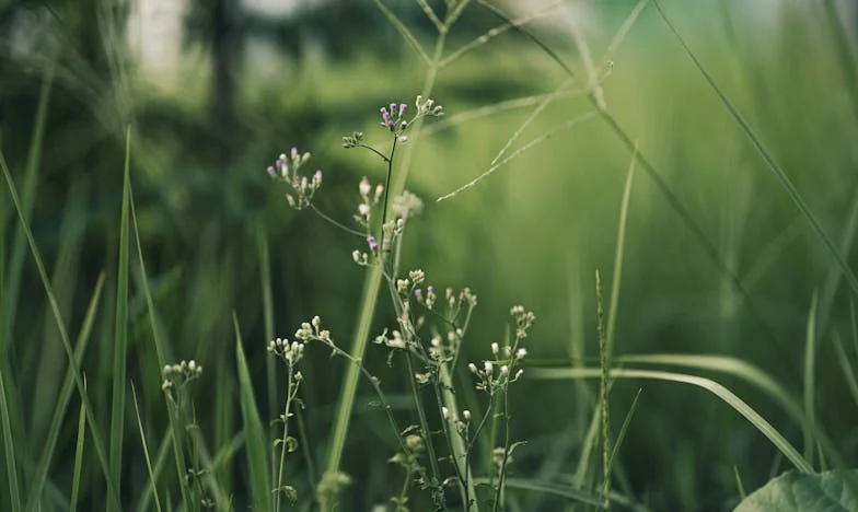 Odłamki, których nie da się posklejać – historia Magdy z podwarszawskiego blokowiska