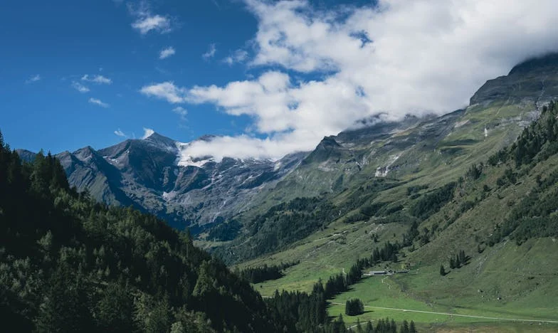 Sen, który ostrzegł mnie przed tragedią: Historia Anny z Krakowa
