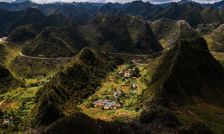 Serce na dłoni: Opowieść o rodzinie, winie i przebaczeniu