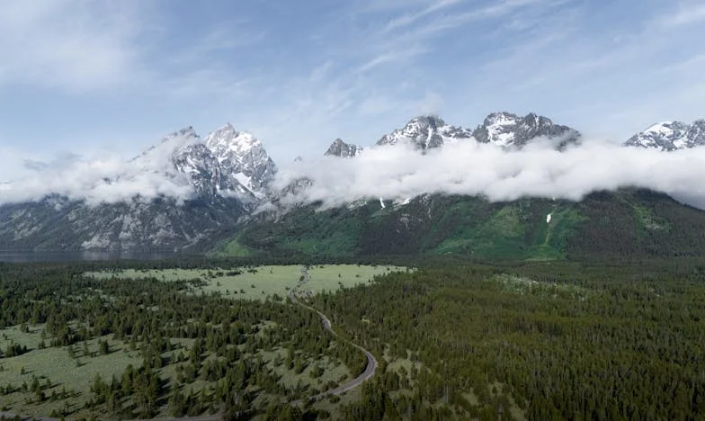 Tajemnica krwi: Lekcja biologii, która rozdarła moją rodzinę – Moje życie po odkryciu rodzinnej zdrady