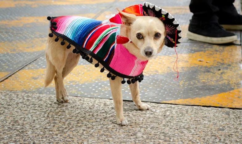 Uciekam do pracy, by nie zwariować w domu: Moja walka o siebie w cieniu rozpadającego się małżeństwa