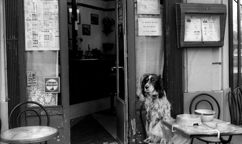 Za zamkniętymi drzwiami: Historia Kazimierza i Barbary