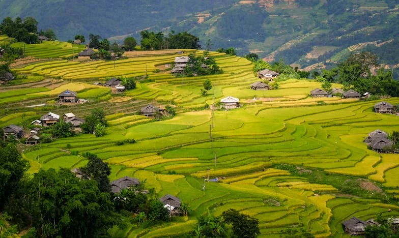 Zdrada w cieniu rocznicy: jak przypadkowe spotkanie zmieniło wszystko