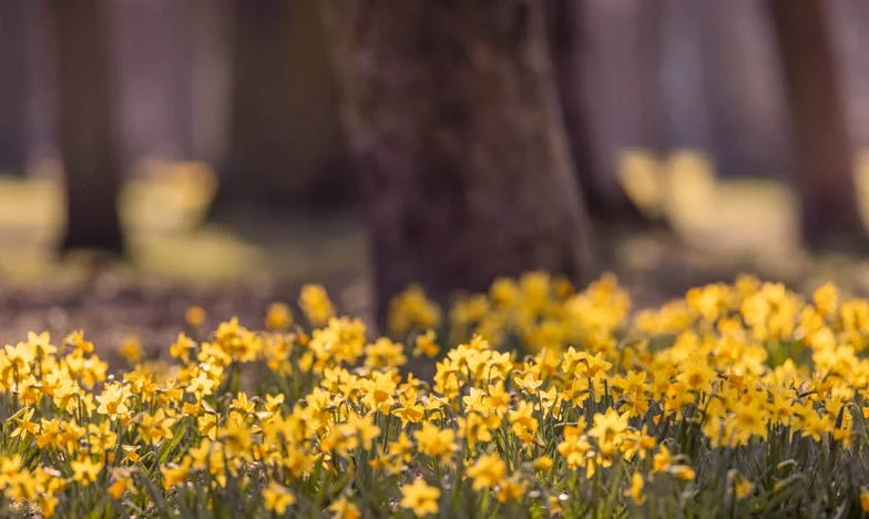 Zdrada w cieniu wolności: Opowieść o jednym kubku i dwóch sercach
