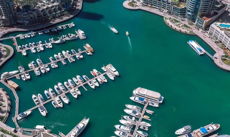 Zielona od Zazdrości: Moja Walka z Ojcowską Stronniczością na Weselu Siostry