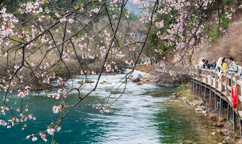 Cudzoziemiec w moim domu: Historia o zaufaniu, rodzinie i granicach