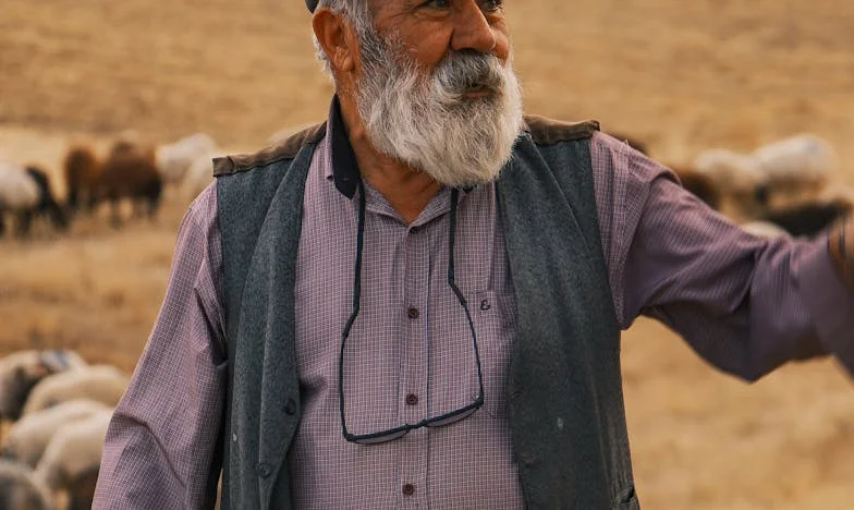 Decyzja na rozdrożu: Opowieść o ziemi, rodzinie i dumie