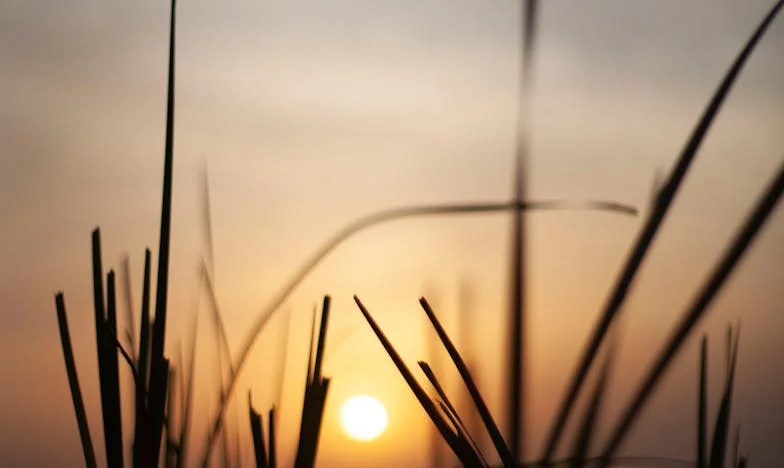 "Dlaczego wszedłeś do mojego mieszkania, kiedy mnie nie było?" – Sekrety, które rozdarły moją rodzinę