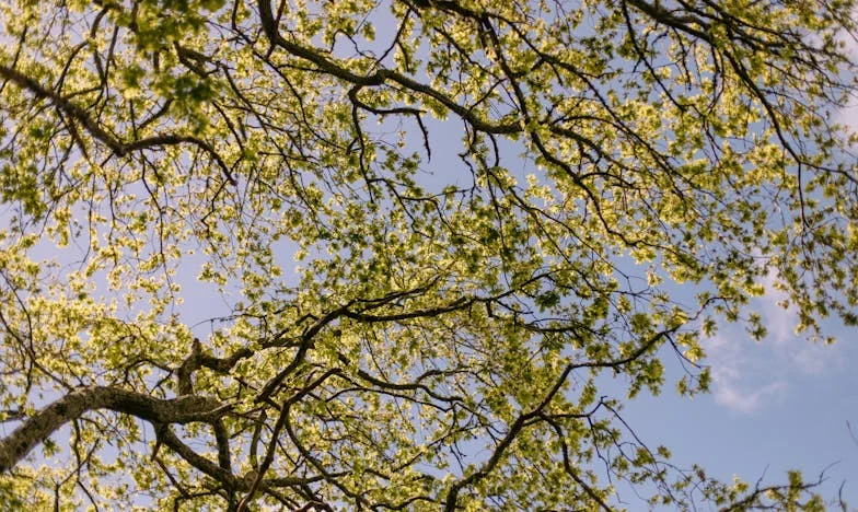 Droga bez powrotu: Opowieść Marzeny o rodzinnych więzach i samotności