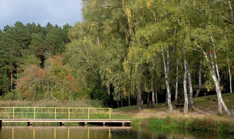 Granice serca: Gorzka Wigilia w cieniu rodzinnych oczekiwań