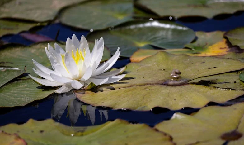 Jesień życia i złamane serca: Historia matki, która musiała pozwolić odejść synowi