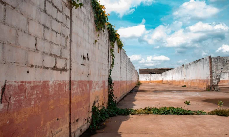 Kiedy cisza krzyczy: Moja walka o siebie po odejściu męża